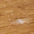床